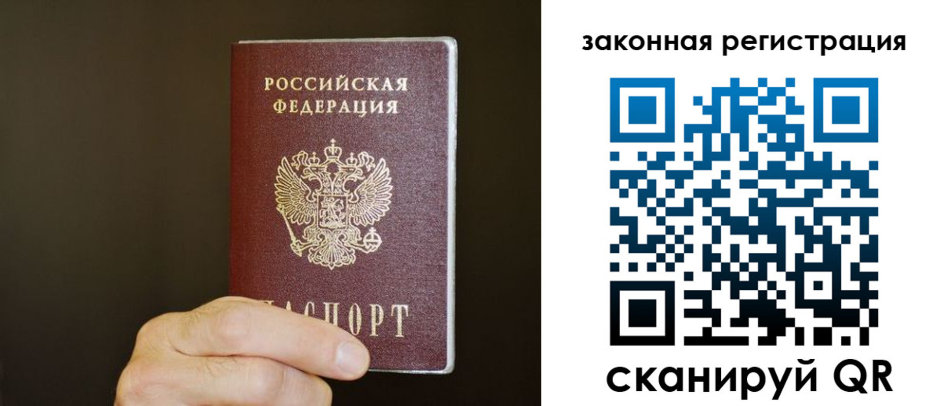 прописка регистрация в Фрязино